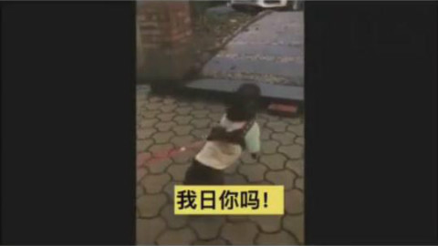 主人牵错狗,狗狗被逼急了说人话!!!